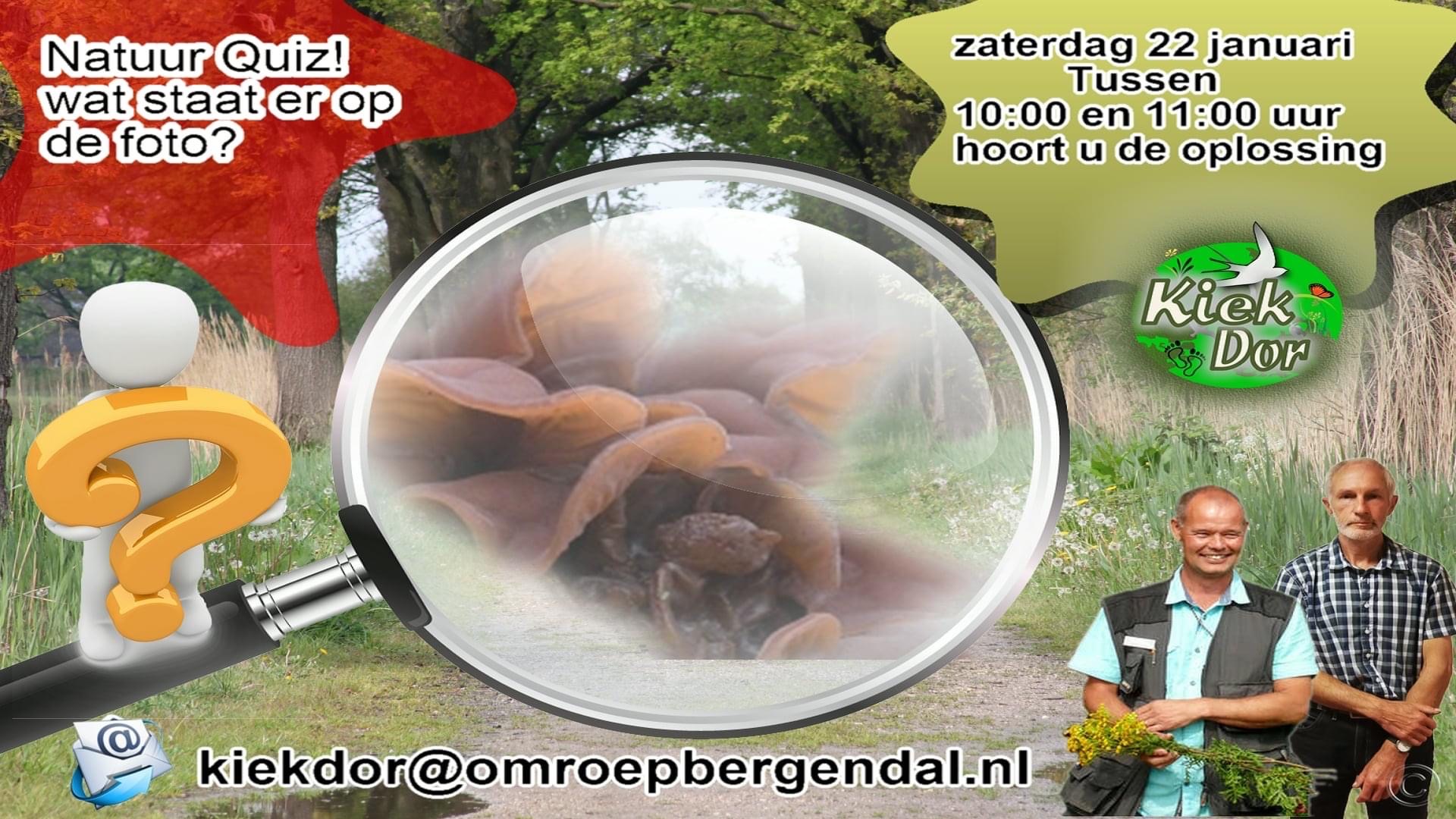 Kiek Dor Kiek Dor