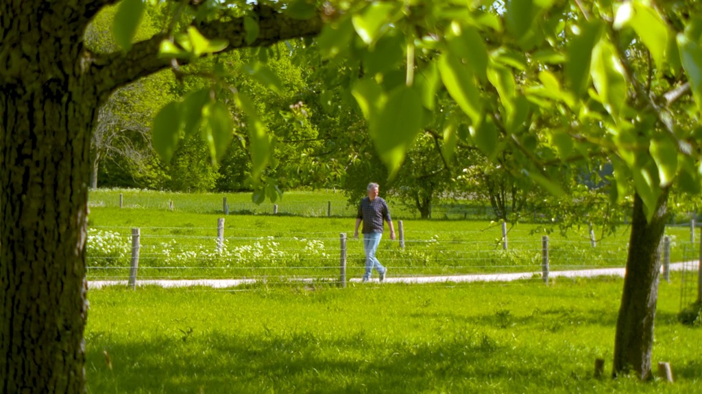 Header van In mijn hart